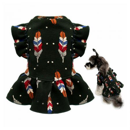 תלבושת יום הולדת לכלב בעיצוב אישי.