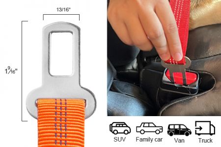 Effortless Universal Fitting