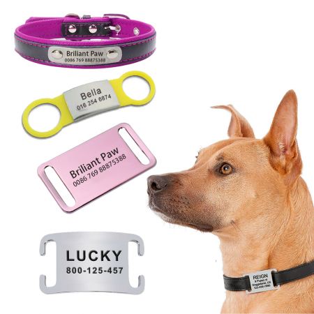 Placa de identificación de collar para perro con patrón. - Etiqueta para perro con remache de patrón.