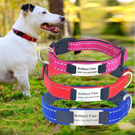 Pattern Engraved Slide On Dog Tag.