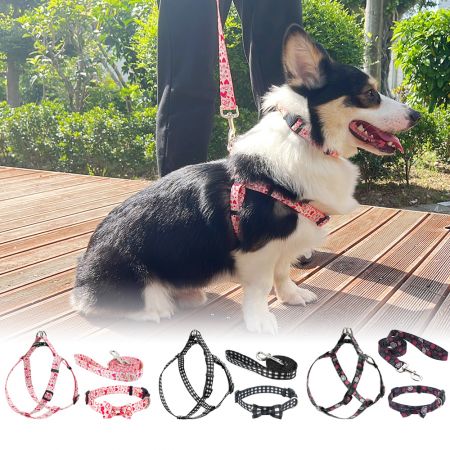 Set Harness Anjing Jalan 3-Piece Grosir - Set Harness Anjing Grosir
