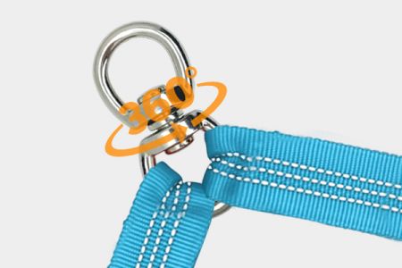 Tangle-Free Dual Dog Leash for Unrestricted Movement