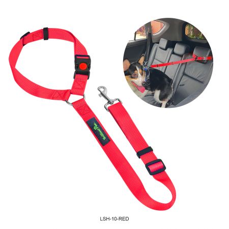 Cintura di sicurezza antistrappo per cani.