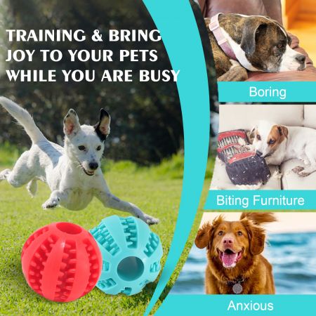Bola Interaktif untuk Anjing.