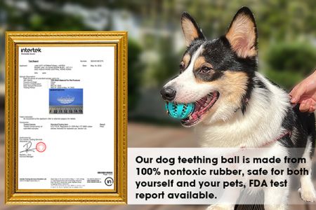 Mainan Mengunyah yang Tahan Lama dan Awet