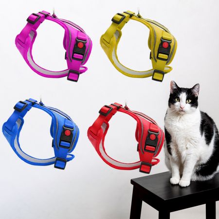 Áo giáp mèo chống thoát có thể điều chỉnh.