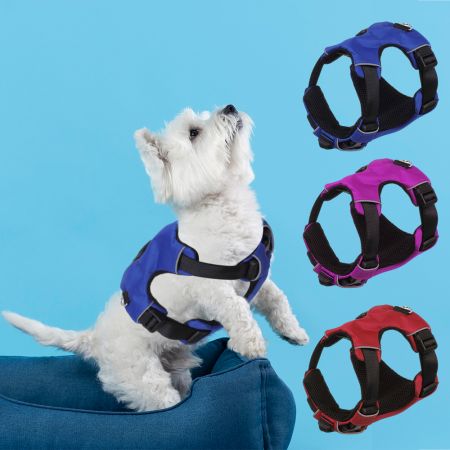 Imbracatura anti-fuga per cani di piccola taglia.