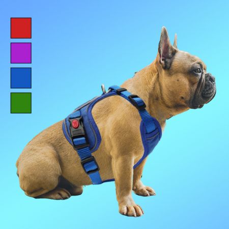 Best Escape Proof Dog Harness.