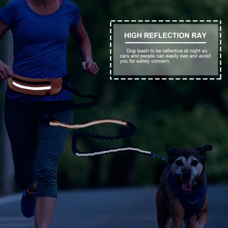 Reflektierende freihändige Hundeleine auf Lager.