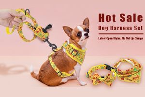 Diverse combinazioni di set di imbracature per cani per arricchire la tua categoria