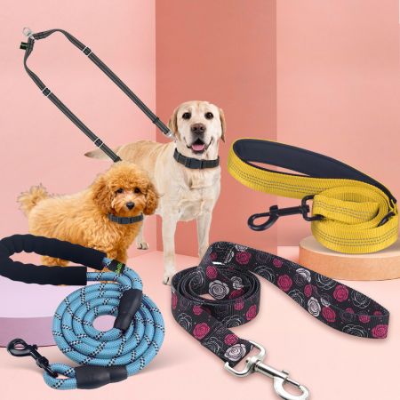 Dog Leash (stock items) - Dog Leash In Stock
