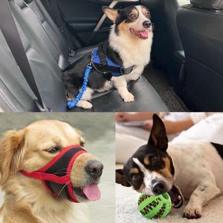 Accessori per animali domestici (articoli di stock) - Accessori all'ingrosso per cani/ Cintura di sicurezza per cani/ Museruole per cani.