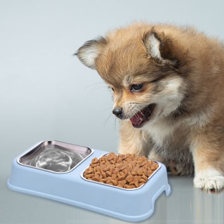 Dụng cụ cho thú cưng ăn uống và uống nước - Nhà sản xuất bán buôn đồ ăn và nước cho thú cưng