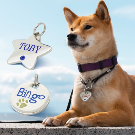 Pet Tags - Custom Pet Tags Manufacturer