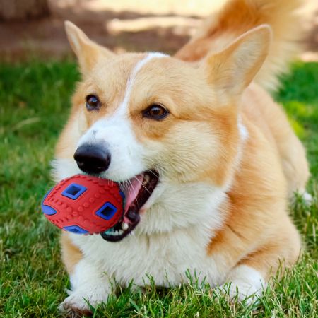 Игрушки для домашних животных - Горячая распродажа оптового производителя игрушек для домашних животных