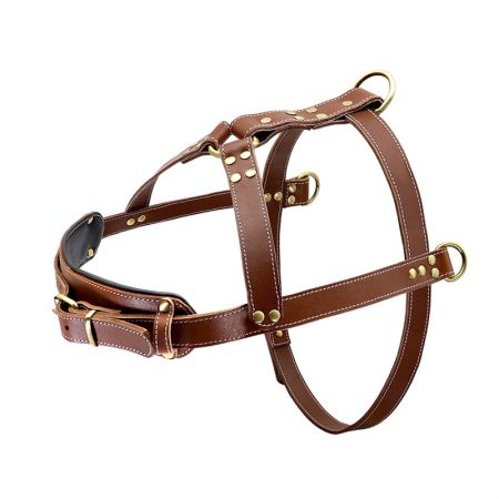 Arreios de Couro Genuíno para Cães.