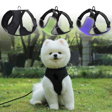 Produttore di imbracature per cani regolabili in rete.