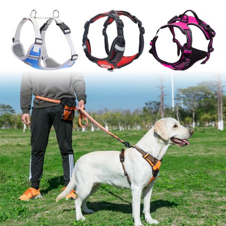 Imbracatura per cani in rete facile da mettere / togliere.