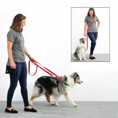 حبل تسخير كلب متعدد الوظائف بالجملة باللون البرتقالي.