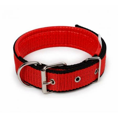 Dual Color Padded Dog Collar.
