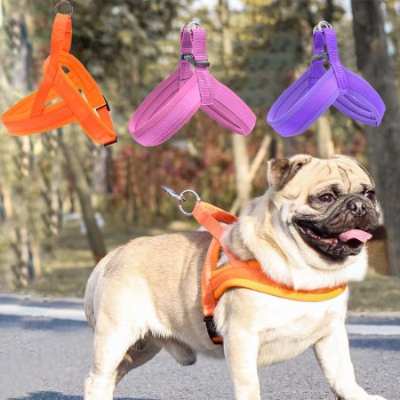 Padded Dog Harness with Grab Handle.
