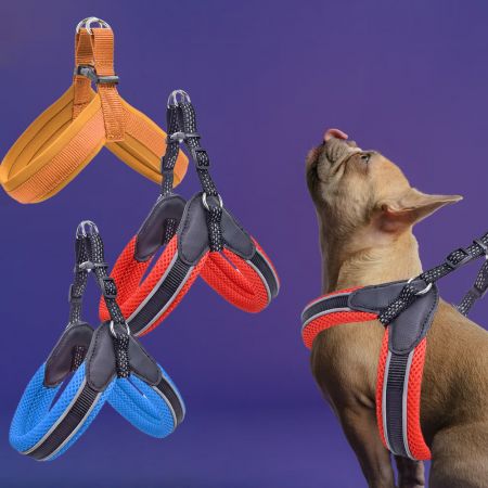 Royal Blue Mesh Padded Dog Harness.