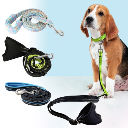 Guinzaglio in nylon con manico imbottito all'ingrosso. - Guinzaglio imbottito all'ingrosso con fascia elastica.