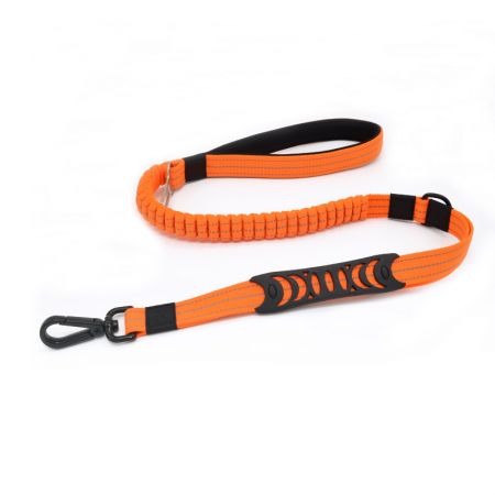 Dây xích chó bungee bán buôn với tay cầm đệm.