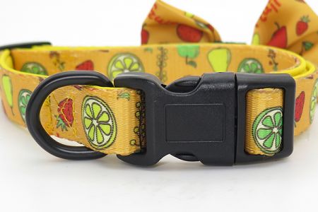 개 목걸이에는 POM 릴리스 버클이 있어 길이를 조절하여 다양한 크기의 개 품종에 맞게 유지하며, 네오프렌 패딩은 편안한 착용감을 제공하며, 이는 애완동물의 목에 가해지는 압력을 줄일 수 있어 개가 자신의 상황을 완전히 통제하는 것처럼 느끼도록 도와줍니다.