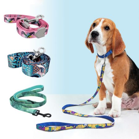 Guinzaglio per cani in poliestere con motivo. - Fornitura di guinzagli per cani in poliestere con motivo.