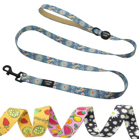 Pattern Webbing Dog Leash with D Ring.