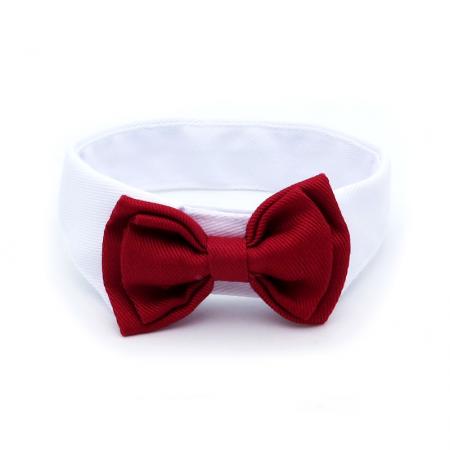 ربطة عنق حمراء للحيوانات الأليفة مع طوق أبيض.