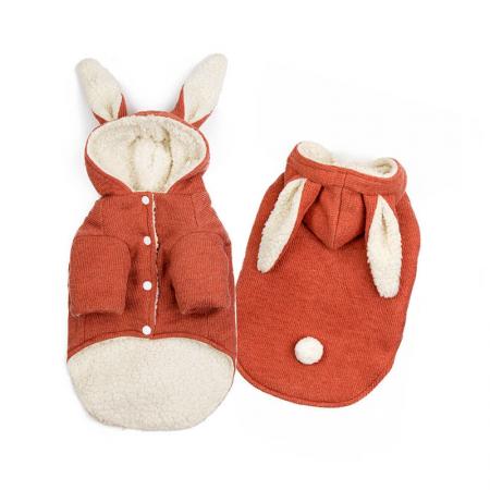 مُصنع معاطف كلاب دافئة.