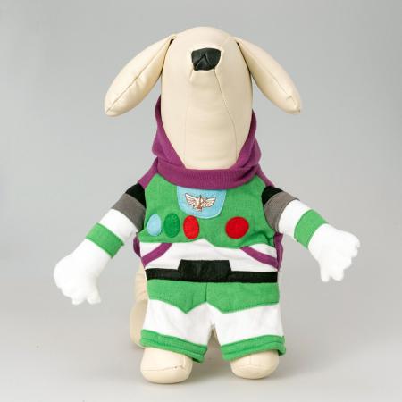 Dinosaur Dog Halloween Costume.