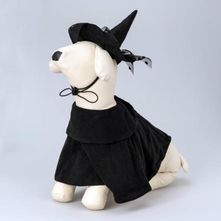 Disfraz de bruja para perro para Halloween.