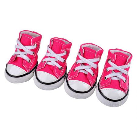 Giày ván cho chó bằng vải canvas.