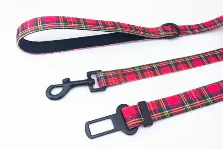 Secure Control and Comfort: Our High-Quality Dog Leash and Seat Belt 