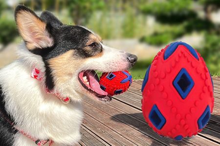 Promoting Oral Health with Our Rubber Dog Toy