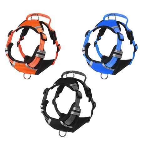 حزام كلاب 3 Peaks بالجملة.