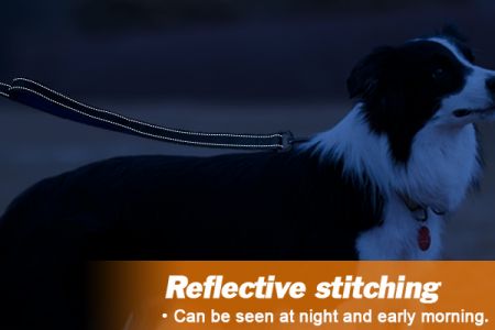 Enhanced Visibility For Nighttime Walks