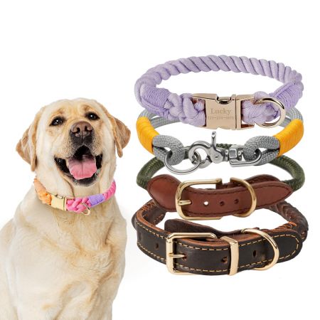 Wholesale Rope Dog Collar - Braided Rope Dog Collar in Bulk