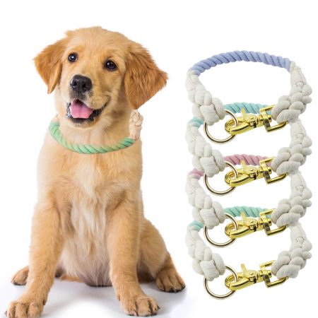 マルチカラーのロープ犬首輪。