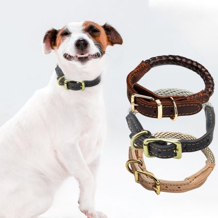 Adjustable Rope Dog Collar.