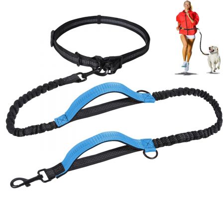 Running Walking Dog Leash With Pouch.