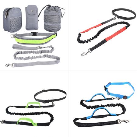 Nhà sản xuất dây dẫn chó chạy không tay.