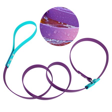 קשירת כלבים עם סיכת מניעת חנק.