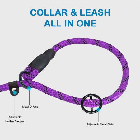 היתרונות של רצועת כלב שקופה בסיטונאות