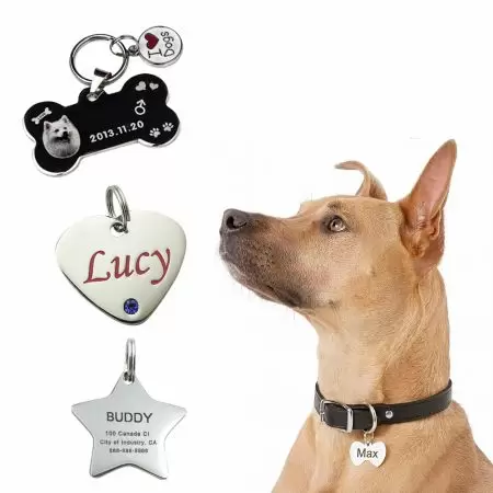 Pattern Stainless Steel Pet Id Tags - Pattern Bone Shape Stainless Steel Pet Tag