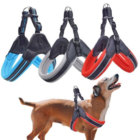 Dây đeo chó bước vào bằng nylon.