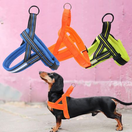 Patterned Step In Dog Harness.